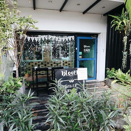Bloomz Hostel شيانغ ماي المظهر الخارجي الصورة