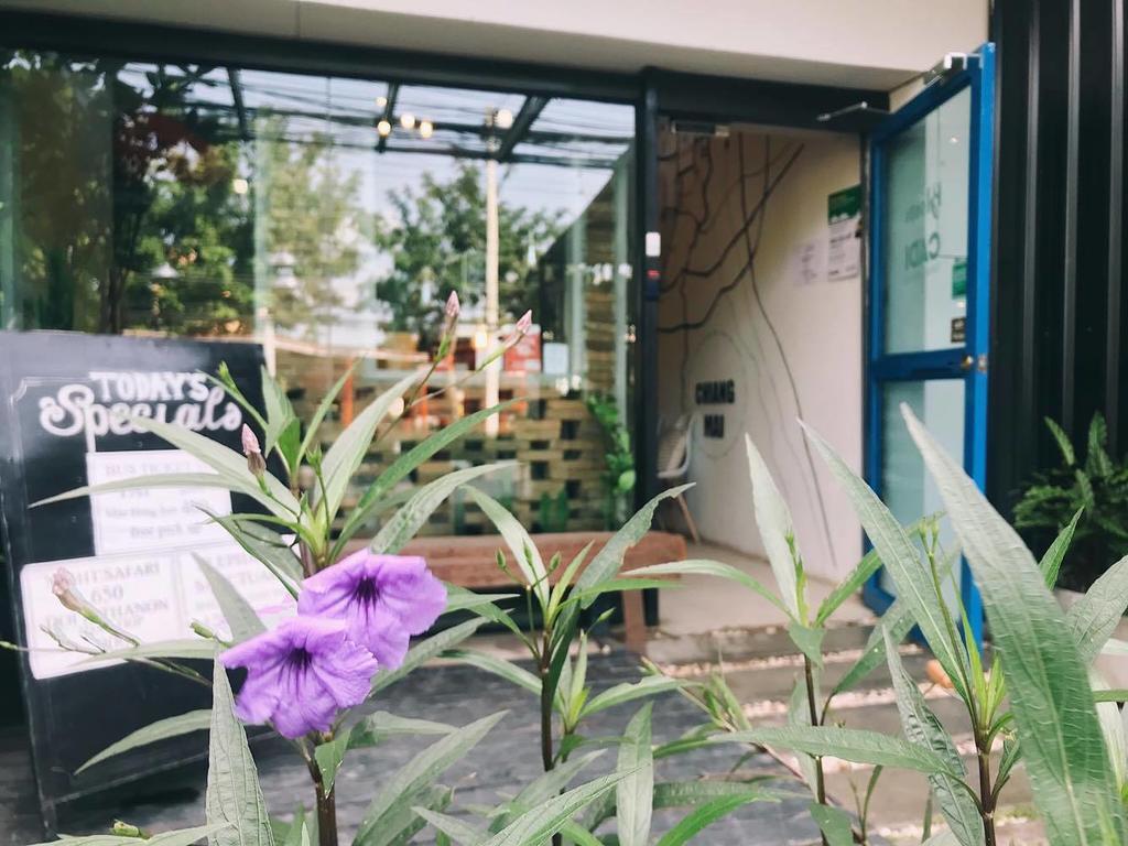 شيانغ ماي Bloomz Hostel المظهر الخارجي الصورة